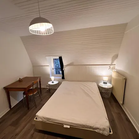 Duplex Avec Wifi Proche Du Centre La Bourboule