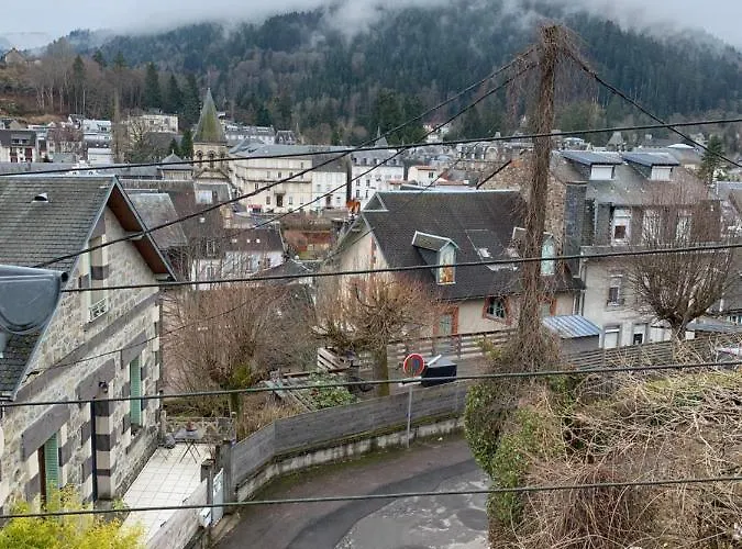 Duplex Avec Wifi Proche Du Centre *
