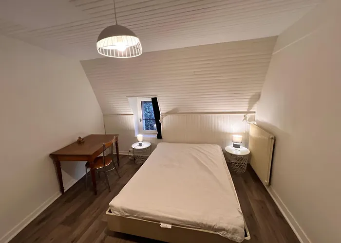 Duplex Avec Wifi Proche Du Centre La Bourboule